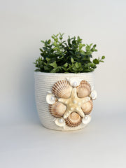 Indoor plant pot with shells Indoor plant pot with shells Gabificent