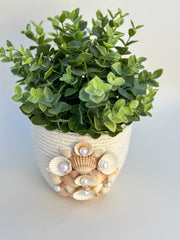 Indoor plant pot with shells Indoor plant pot with shells Gabificent