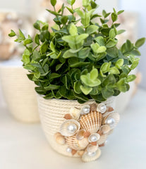 Indoor plant pot with shells Indoor plant pot with shells Gabificent