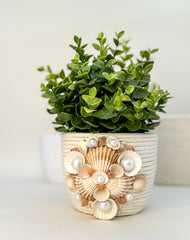 Indoor plant pot with shells Indoor plant pot with shells Gabificent