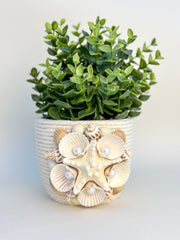 Indoor plant pot with shells Indoor plant pot with shells Gabificent