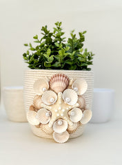 Indoor plant pot with shells Indoor plant pot with shells Gabificent