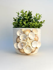 Indoor plant pot with shells Indoor plant pot with shells Gabificent