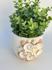 Indoor plant pot with shells Indoor plant pot with shells Gabificent