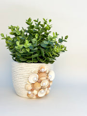 Indoor plant pot with shells Indoor plant pot with shells Gabificent