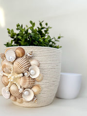 Indoor plant pot with shells Indoor plant pot with shells Gabificent