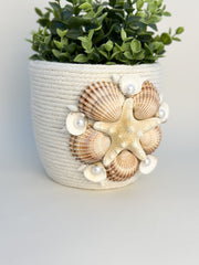 Indoor plant pot with shells Indoor plant pot with shells Gabificent