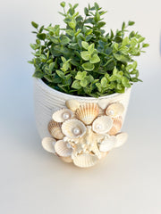 Indoor plant pot with shells Indoor plant pot with shells Gabificent