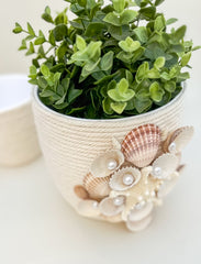Indoor plant pot with shells Indoor plant pot with shells Gabificent