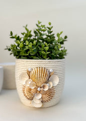 Indoor plant pot with shells Indoor plant pot with shells Gabificent
