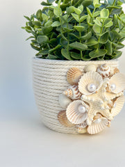 Indoor plant pot with shells Indoor plant pot with shells Gabificent