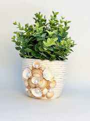Indoor plant pot with shells Indoor plant pot with shells Gabificent
