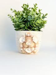 Indoor plant pot with shells Indoor plant pot with shells Gabificent