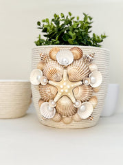Indoor plant pot with shells Indoor plant pot with shells Gabificent