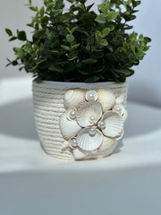 Indoor plant pot with shells Indoor plant pot with shells Gabificent