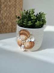 Indoor plant pot with shells Indoor plant pot with shells Gabificent