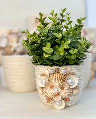Indoor plant pot with shells Indoor plant pot with shells Gabificent