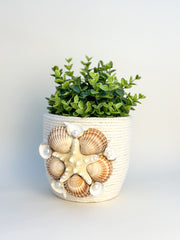 Indoor plant pot with shells Indoor plant pot with shells Gabificent