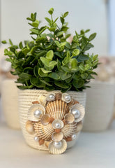 Indoor plant pot with shells Indoor plant pot with shells Gabificent