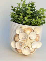 Indoor plant pot with shells Indoor plant pot with shells Gabificent