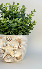 Indoor plant pot with shells Indoor plant pot with shells Gabificent