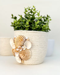 Indoor plant pot with shells Indoor plant pot with shells Gabificent