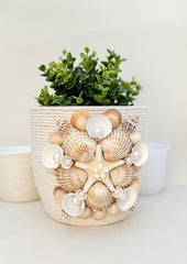 Indoor plant pot with shells Indoor plant pot with shells Gabificent