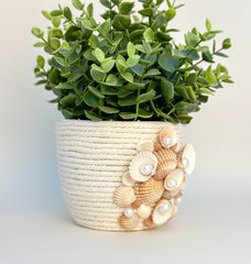 Indoor plant pot with shells Indoor plant pot with shells Gabificent