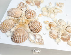 Keepsake box with seashells - Large Keepsake box with seashells - Large Gabificent