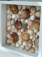 Frame with shells Frame with shells Gabificent
