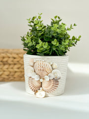 Indoor plant pot with shells Indoor plant pot with shells Gabificent