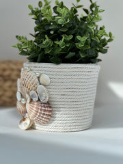 Indoor plant pot with shells Indoor plant pot with shells Gabificent
