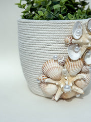 Indoor plant pot with shells