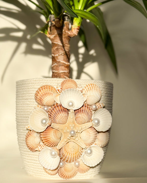 Indoor plant pot with shells