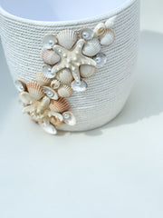 Indoor plant pot with shells