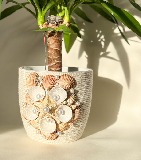 Indoor plant pot with shells