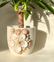 Indoor plant pot with shells
