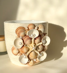 Indoor plant pot with shells
