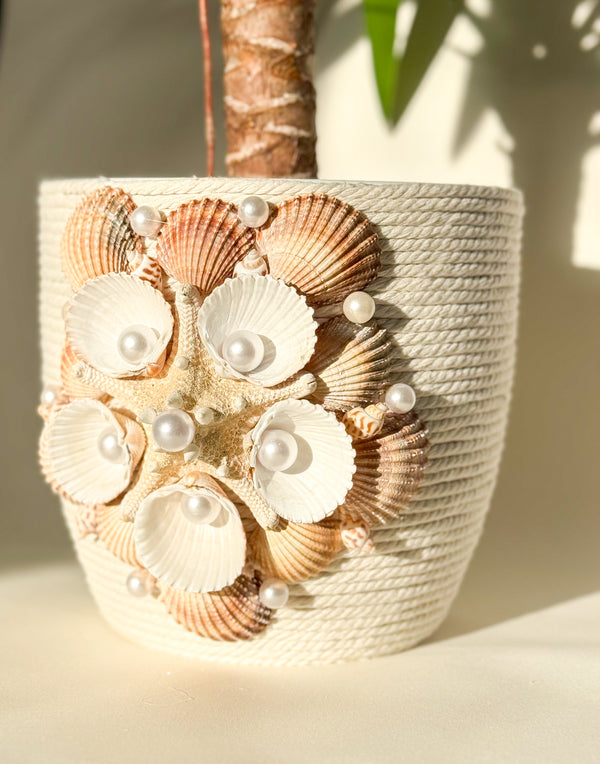 Indoor plant pot with shells