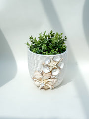 Indoor plant pot with shells