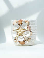 Indoor plant pot with shells
