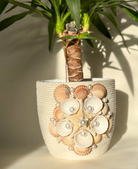 Indoor plant pot with shells