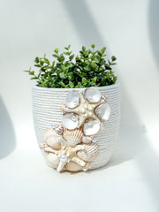 Indoor plant pot with shells