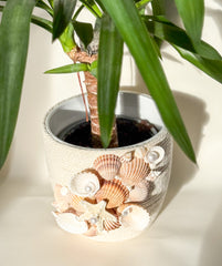 Indoor plant pot with shells