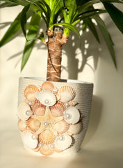 Indoor plant pot with shells