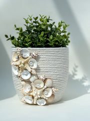 Indoor plant pot with shells