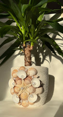 Indoor plant pot with shells