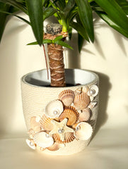 Indoor plant pot with shells