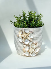 Indoor plant pot with shells