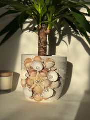 Indoor plant pot with shells